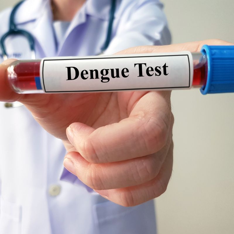 diagnostico-de-dengue-laboratorio-quality-cuernavaca